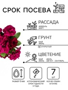 Семена цветов Петуния «Бургунди Каскадная», F1, махровая, 7 шт., «Семена Алтая» - Фото 2