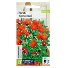 Семена комнатных цветов Гранат Карликовый, Мн, ц/п, 5 шт. - Фото 1