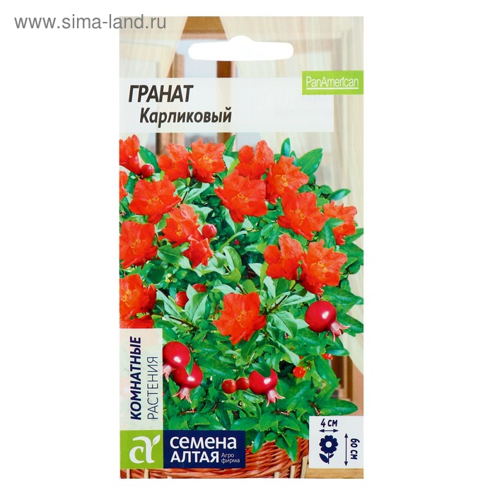 Семена комнатных цветов Гранат Карликовый, Мн, ц/п, 5 шт. - Фото 1