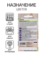 Семена комнатных цветов Колеус "Коралловый Восход", ц/п, 5 шт - Фото 3