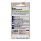 Семена комнатных цветов Колеус "Коралловый Восход", ц/п, 5 шт - Фото 6