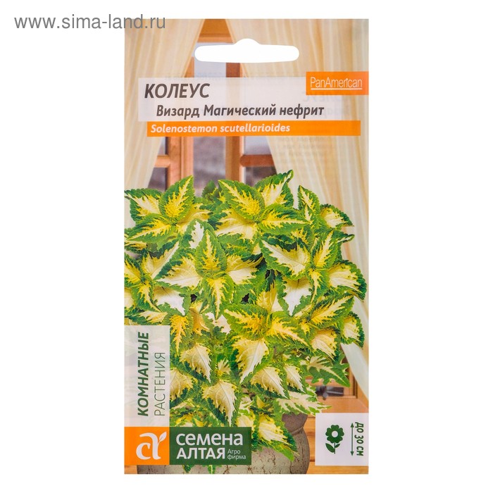 Семена комнатных цветов Колеус "Магический Нефрит", ц/п, 10 шт. - Фото 1
