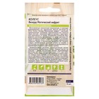 Семена комнатных цветов Колеус "Магический Нефрит", ц/п, 10 шт. - Фото 4