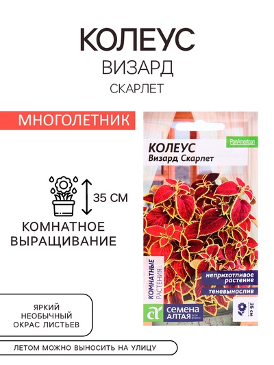 Семена комнатных цветов Колеус "Скарлет", ц/п, 5 шт.