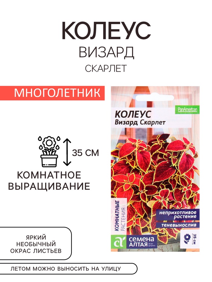 Семена комнатных цветов Колеус "Скарлет", ц/п, 5 шт. - Фото 1