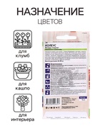 Семена комнатных цветов Колеус "Скарлет", ц/п, 5 шт. - Фото 3