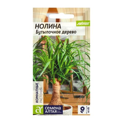 Семена комнатных цветов нолина «Бутылочное дерево», 3 шт.