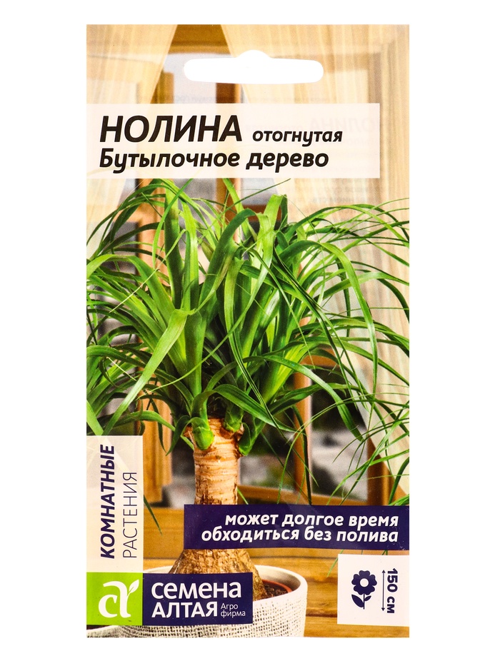 Семена комнатных цветов нолина «Бутылочное дерево», 3 шт. - Фото 1