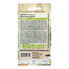 Семена комнатных цветов нолина «Бутылочное дерево», 3 шт. - Фото 2