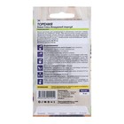 Семена комнатных цветов Торения "Воздушный поцелуй", ц/п, 5 шт. - Фото 2