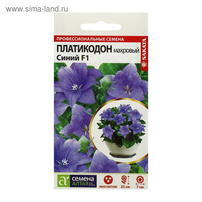 Платикодон семена фото и описание Платикодон семена фото и описание