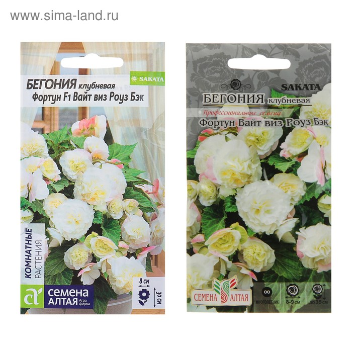 Семена цветов бегония «Вайт виз Роуз», 4 шт. - Фото 1
