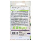 Семена цветов бегония «Вайт виз Роуз», 4 шт. - Фото 2