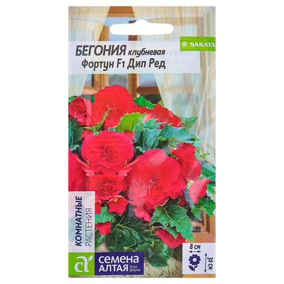 Семена комнатных цветов Бегония "Дип Ред", 5 шт.