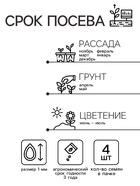 Семена комнатных цветов Бегония "Дип Ред", ц/п, 4 шт - Фото 2