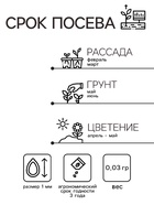 Семена комнатных цветов гербера «Джемсона», смесь, 0.03 г - Фото 2