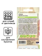 Семена комнатных цветов гербера «Джемсона», смесь, 0.03 г - Фото 3