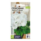 Семена комнатных цветов Глоксиния Аванти "Белая", F1, 8 шт. - фото 321258167
