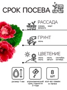 Семена комнатных цветов Глоксиния Аванти "Персиково-розовая", ц/п, F1, 8 шт. - Фото 2
