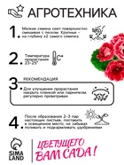 Семена комнатных цветов Глоксиния Аванти "Персиково-розовая", ц/п, F1, 8 шт. - Фото 4