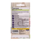 Семена комнатных цветов Глоксиния Аванти "Персиково-розовая", ц/п, F1, 8 шт. - Фото 6