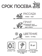 Семена комнатных цветов Глоксиния Брокада "Красная", ц/п, F1, 8 шт. - Фото 2