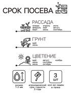 Семена комнатных цветов Пеларгония «Горизонт Пьюр Вайт», 3 шт., «Семена Алтая» - Фото 2