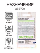 Семена комнатных цветов Пеларгония «Горизонт Пьюр Вайт», 3 шт., «Семена Алтая» - Фото 3