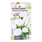 Семена комнатных цветов Пеларгония «Горизонт Пьюр Вайт», 3 шт., «Семена Алтая» - Фото 5