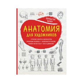 

Анатомия для художников (новое оформление)