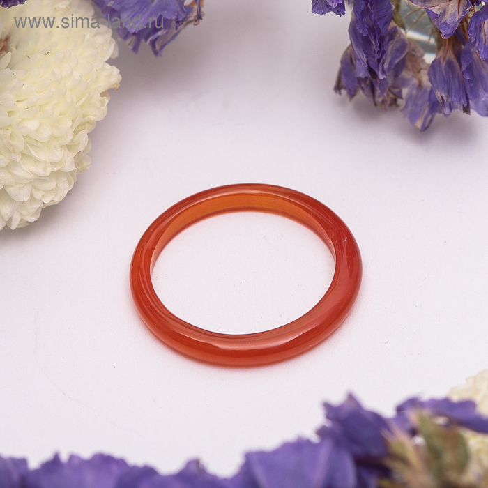Кольцо гладкое «Сердолик» 2 мм, 302 - Фото 1