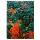 Колледж-тетрадь твёрдая обложка А4, 100 листов в клетку "Живая планета. Панорама леса", глянцевая ламинация - Фото 1
