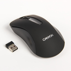 Мышь Canyon CNE-CMSW2, беспроводная, оптическая, 1200 dpi, 3 кнопки, USB, чёрная - Фото 1