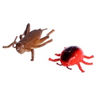 Набор животных «Насекомые», 12 фигурок с аксессуарами - Фото 13