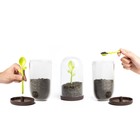 Контейнер для сыпучих продуктов Sprout Jar, 700 мл - Фото 3