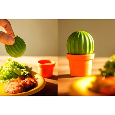 Набор для специй Cactus