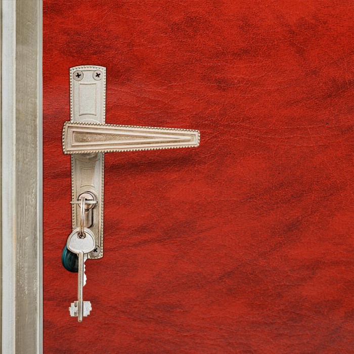 Комплект для обивки дверей 110 × 205 см: иск.кожа, поролон 5 мм, гвозди, струна, терракот, «Рулон» - Фото 1