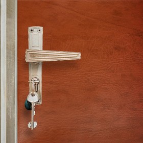 Комплект для обивки дверей 110 × 205 см: иск.кожа, поролон 3 мм, гвозди, коричневый, «Эконом»