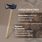 Колун кованый ТУНДРА, круглый железный клин, топорище из Гикори (орешник) 70 см, 2 кг - Фото 2