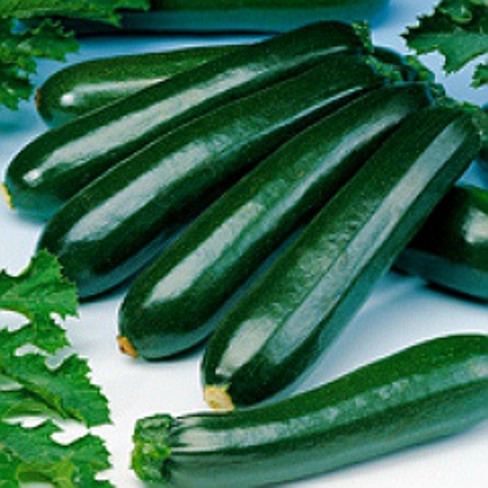 Vegetable Courgette Black Beauty 60 seeds Dark Fog Zucchini eBay