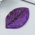 Молд пластик st-0174 "Универсальный" 6х9,5 см МИКС - фото 24141110