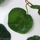 Лиана искусственная «Лист волнистый», 250 см - Фото 2