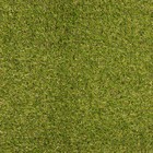 Газон искусственный, ландшафтный, ворс 20 мм, 2 × 10 м, светло-зелёный, «Тропикана» - Фото 2