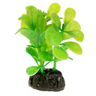 Растение искусственное аквариумное малое, 6 см (комплект 5 шт) - фото 27171842