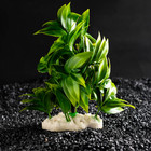 Растение искусственное аквариумное, 12.5×10×14 см - Фото 1