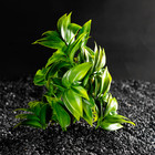 Растение искусственное аквариумное, 12.5×10×14 см - Фото 2