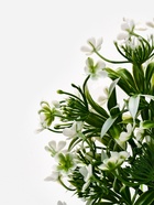 Растение искусственное для аквариума, 14×12×17 см - Фото 5