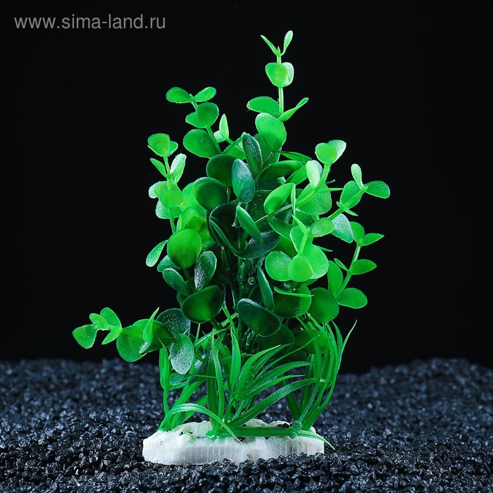Растение искусственное аквариумное, 14 х 12 х 17 см - Фото 1