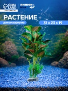 Растение аквариумное «В горшочке», 31×23×19 см - Фото 1