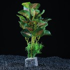 Растение аквариумное "в горшочке", 31 х 23 х 19 см - фото 8879189